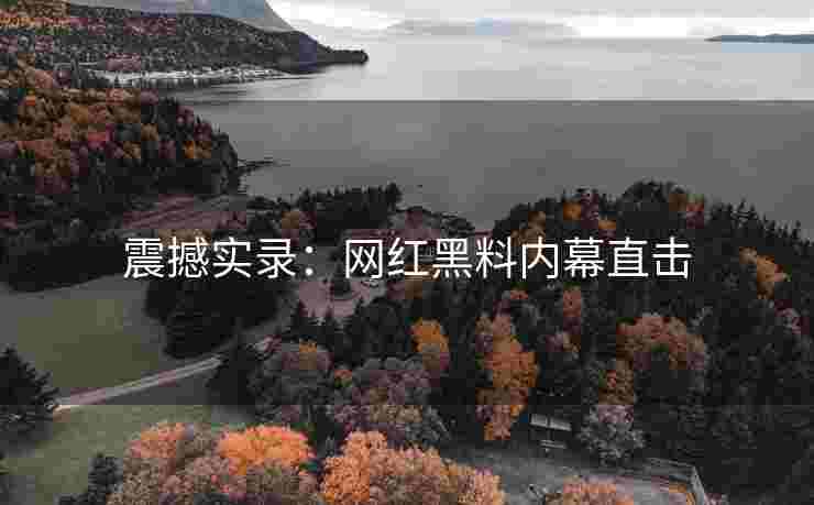 震撼实录：网红黑料内幕直击