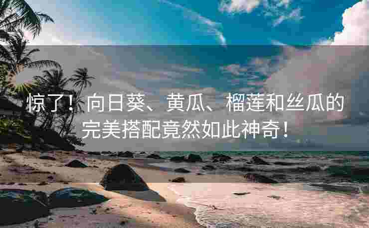 惊了！向日葵、黄瓜、榴莲和丝瓜的完美搭配竟然如此神奇！