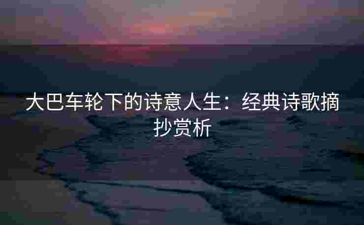大巴车轮下的诗意人生：经典诗歌摘抄赏析