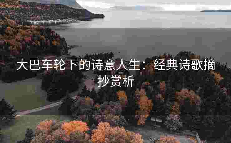 大巴车轮下的诗意人生：经典诗歌摘抄赏析