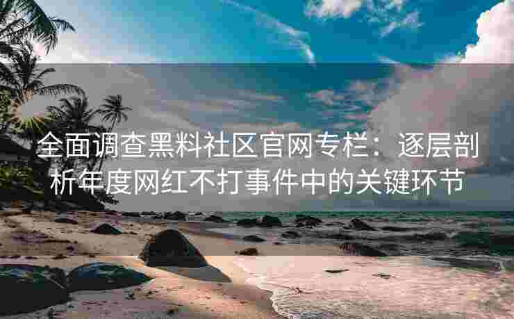 全面调查黑料社区官网专栏：逐层剖析年度网红不打事件中的关键环节