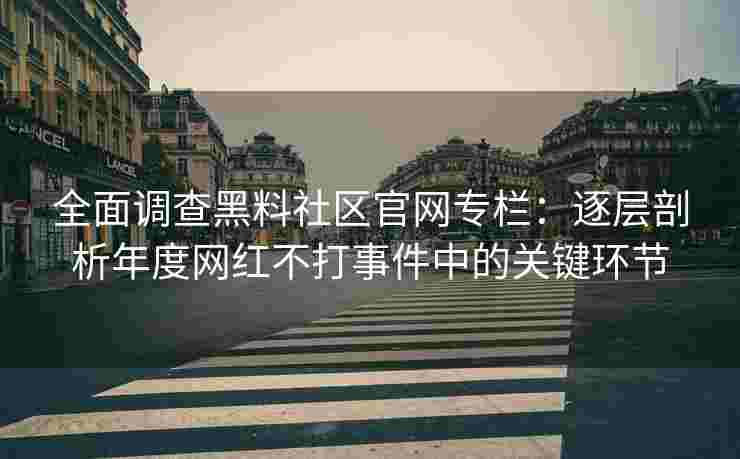 全面调查黑料社区官网专栏：逐层剖析年度网红不打事件中的关键环节