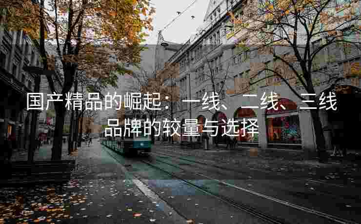 国产精品的崛起：一线、二线、三线品牌的较量与选择