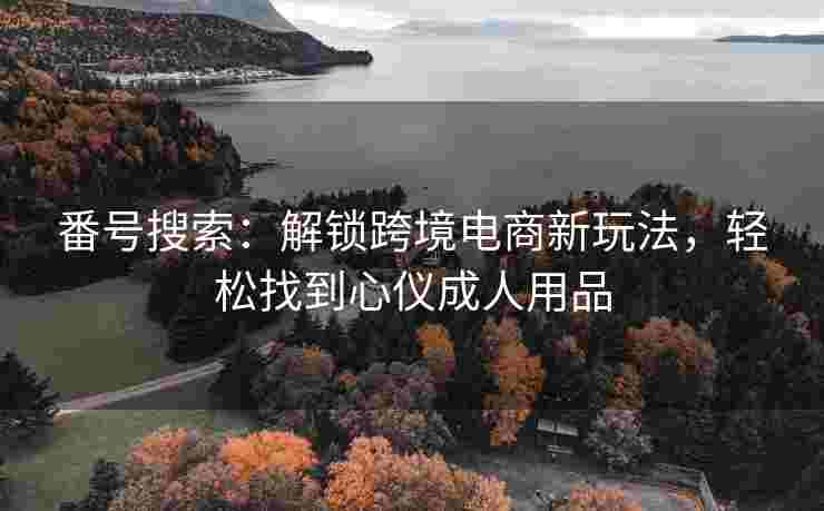 番号搜索：解锁跨境电商新玩法，轻松找到心仪成人用品