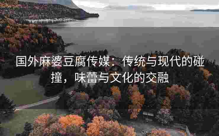 国外麻婆豆腐传媒：传统与现代的碰撞，味蕾与文化的交融