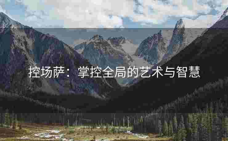 控场萨：掌控全局的艺术与智慧