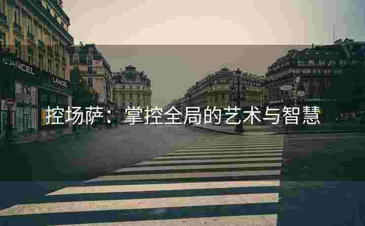 控场萨：掌控全局的艺术与智慧