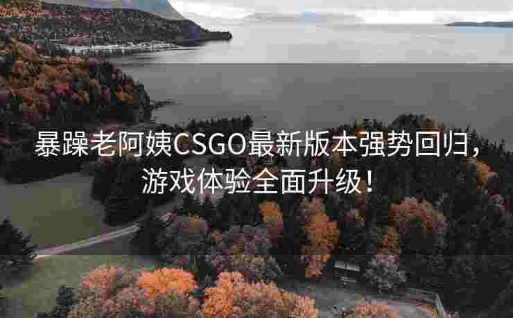 暴躁老阿姨CSGO最新版本强势回归，游戏体验全面升级！
