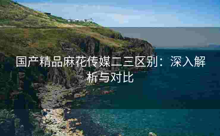 国产精品麻花传媒二三区别：深入解析与对比