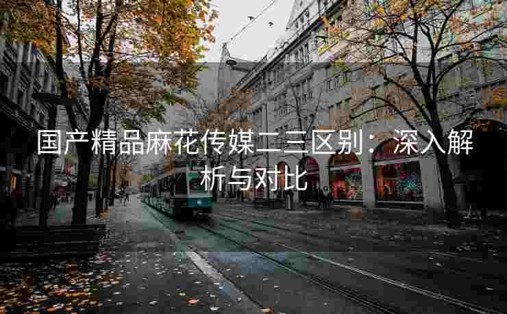 国产精品麻花传媒二三区别：深入解析与对比