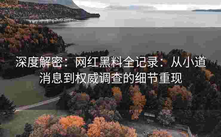 深度解密：网红黑料全记录：从小道消息到权威调查的细节重现