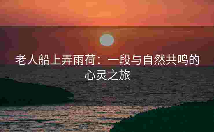 老人船上弄雨荷：一段与自然共鸣的心灵之旅