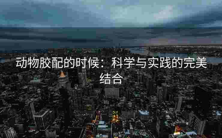 动物胶配的时候：科学与实践的完美结合