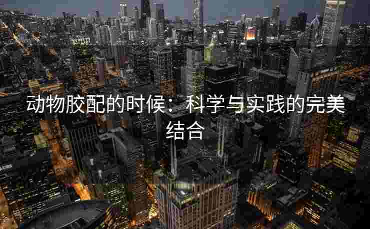 动物胶配的时候：科学与实践的完美结合