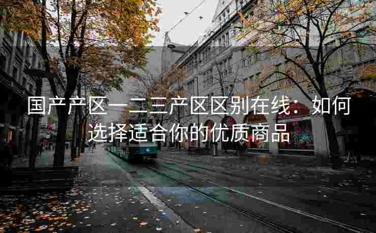 国产产区一二三产区区别在线：如何选择适合你的优质商品