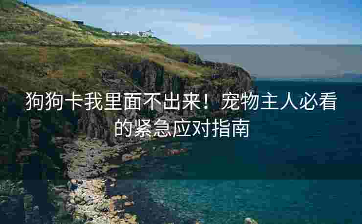 狗狗卡我里面不出来！宠物主人必看的紧急应对指南
