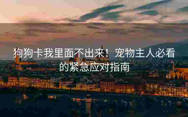 狗狗卡我里面不出来！宠物主人必看的紧急应对指南