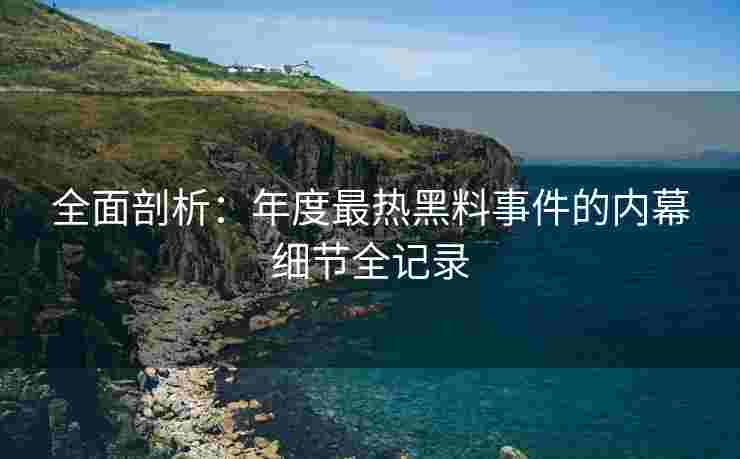 全面剖析：年度最热黑料事件的内幕细节全记录