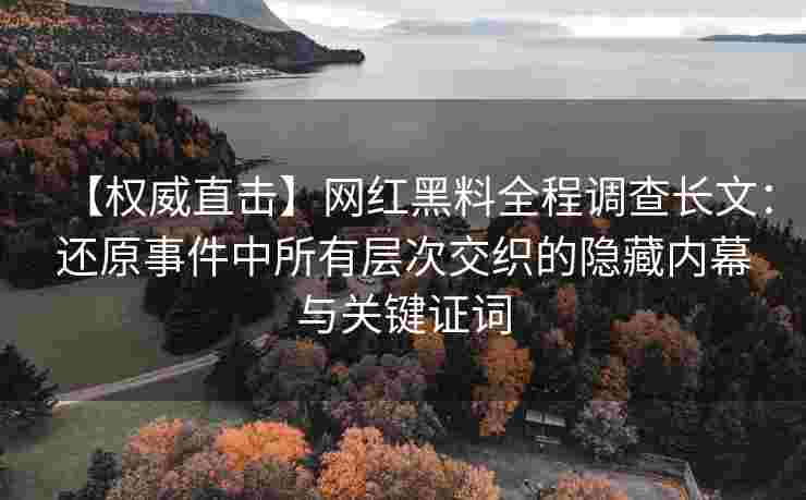【权威直击】网红黑料全程调查长文：还原事件中所有层次交织的隐藏内幕与关键证词
