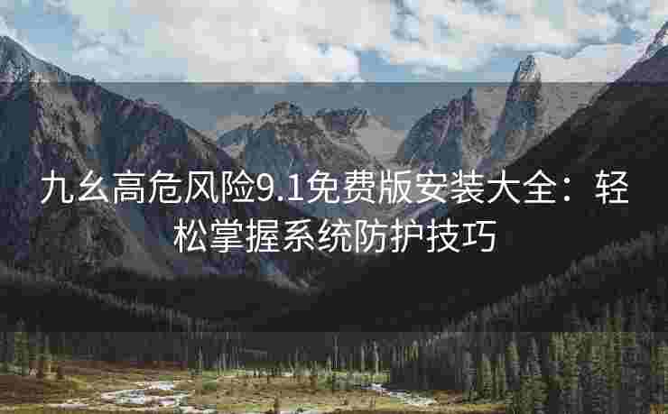 九幺高危风险9.1免费版安装大全：轻松掌握系统防护技巧