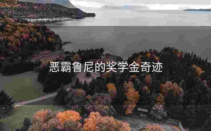 恶霸鲁尼的奖学金奇迹
