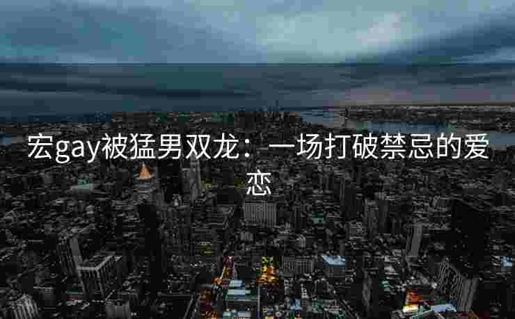 宏gay被猛男双龙：一场打破禁忌的爱恋
