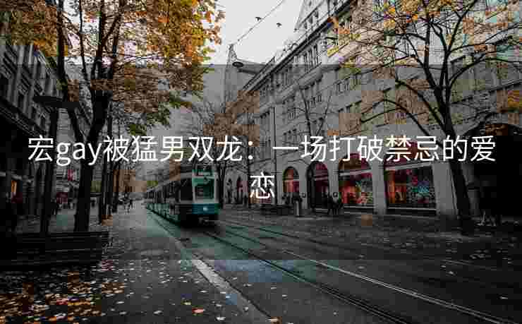 宏gay被猛男双龙：一场打破禁忌的爱恋